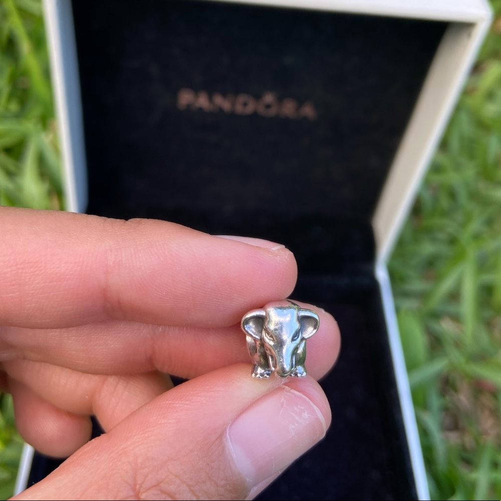 Authentic PANDORA charm